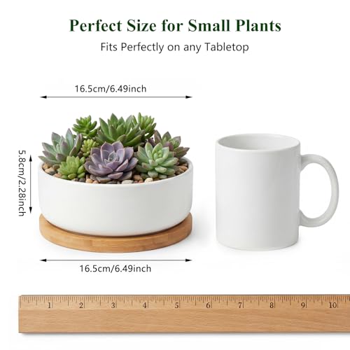 ZOUTOG 2 Pack 6" Ceramic Succulent Pots, White Planters with Drainage Tray - color: 2 Pack, size: 2.28 Inch High