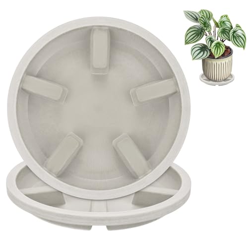M METERXITY 2-Pack Plant Saucers, 6 Inch OD Anti-Rot Root Resin Flower Pot Plant Saucers for Indoor/Outdoor, Flowerpot Drip Tray [4.7 Inch ID, Light Gray] - color: Light Gray, size: 6 Inch OD