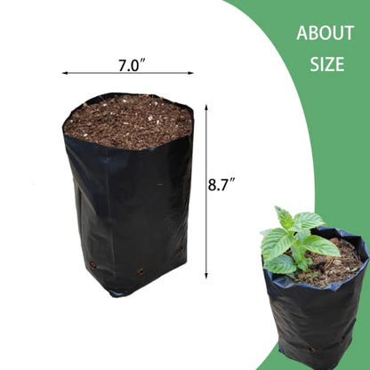 Belit Nursery Growing Bags, 100 Pcs Black Plastic Seedling Pots for Gardening Seed Plant Bags, Fruit Tree Seedling, Starting saplings(7"x8.7") - size: 7.0"x8.7"