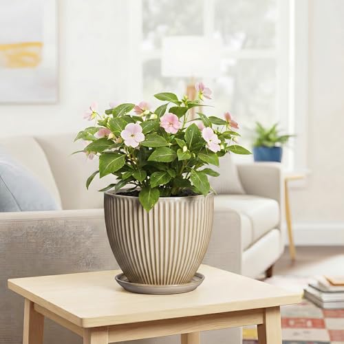 8 Inch Pots for Plants, Ceramic Planter with Saucer, Beige - color: Beige, size: 8 Inch