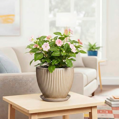 8 Inch Pots for Plants, Ceramic Planter with Saucer, Beige - color: Beige, size: 8 Inch