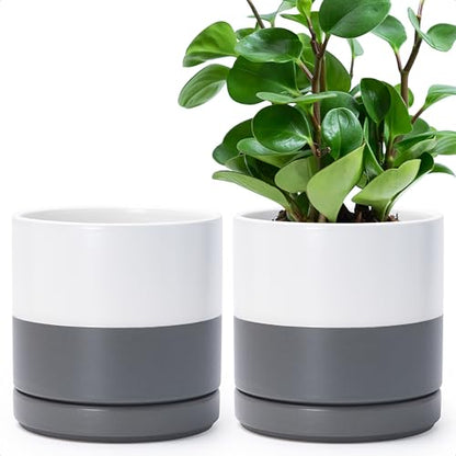 D'vine Dev 2-Pack Ceramic Pots with Saucers, White/Grey, 6.5 in, 94-V-C-6 - color: White/Speckled Grey, size: 6 Inch