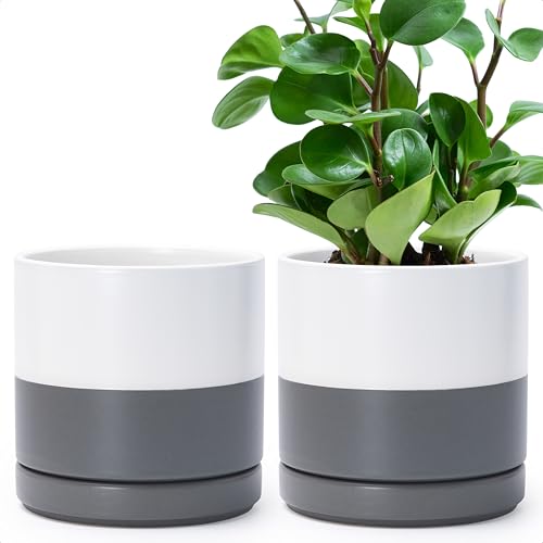 D'vine Dev 2-Pack Ceramic Pots with Saucers, White/Grey, 6.5 in, 94-V-C-6 - color: White/Speckled Grey, size: 6 Inch