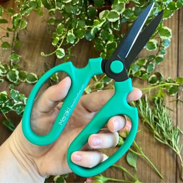 Garden Pruning Shears Scissors Carbon Steel Blades 7.6 Inch, Echinops - Teal - style: 7.6 inch Teal