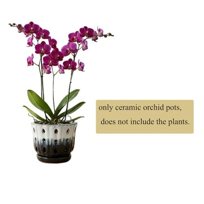 Ceramic Orchid Pot with Hole 6'' Orchid Planter (Cream Over Black) - color: Cream Over Black