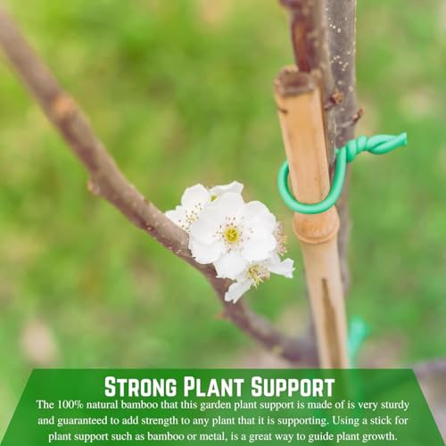 Farm Plastic Supply - Bamboo Garden Stakes - Bambo Sticks, Bamboo Plant Stakes for Outdoor Plants, Plant Support Stakes for Indoor Plants (4 Foot, 5) - style: 4 Foot