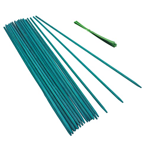 GAGINANG Green Bamboo Plant Stakes, 25 Pcs 18 Inches Floral Support Sticks - size: 18 inch Pack of 25