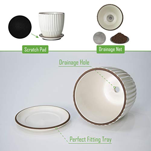D'vine Dev 2-Pack Stoneware Planter Pots, 4.5/5.8 in, Ivory, 99-D-1 - color: Ivory