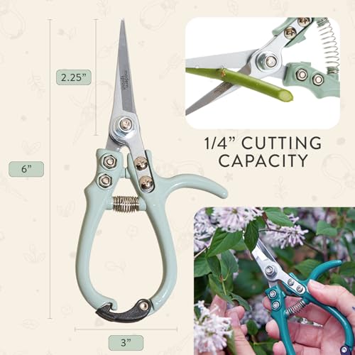 Modern Sprout Bypass Hand Pruners - Scissors - Gardening Tools - Sage - color: Sage