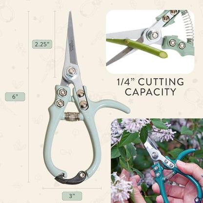 Modern Sprout Bypass Hand Pruners - Scissors - Gardening Tools - Sage - color: Sage
