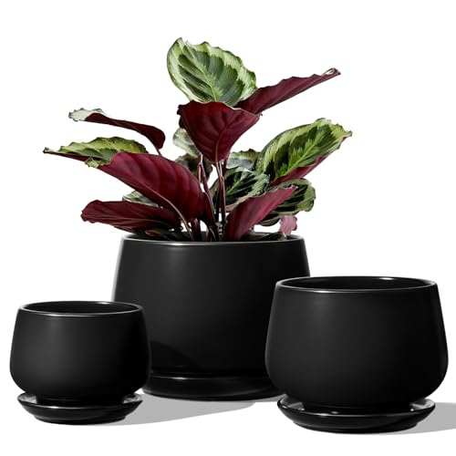 LE TAUCI Plant Pots, 4.1+5.1+6.5 inch, Set of 3, Black, Indoor Pot - color: Black