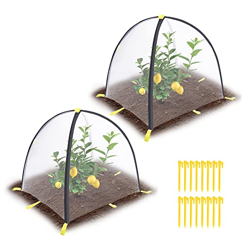 2 PCS Insect Barrier Plant Tent Cover-22 x 22 x 23 Inch Bug Guard Cover with Stakes-Insect Bird Barrier Netting Mesh for Protect Vegetable Plants Fruits Flowers from Birds Animal Eating - color: S-2pcs