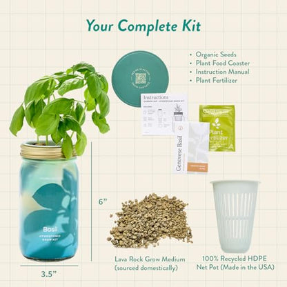 Modern Sprout Mason Jar+Replant Kit- Self-Watering Hydroponics System-Basil - color: Basil, size: Garden Jar + Replant Kit