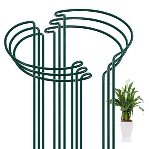 FEED GARDEN Peony Cages and Supports, 6 Pack Plant Support Stakes for Outdoor & Indoor Plants, 10" W x 16" H Half Round Garden Plant Support Rings for Peonies, Hydrangeas, Roses, Dahlias - size: 6 Pack-16" H