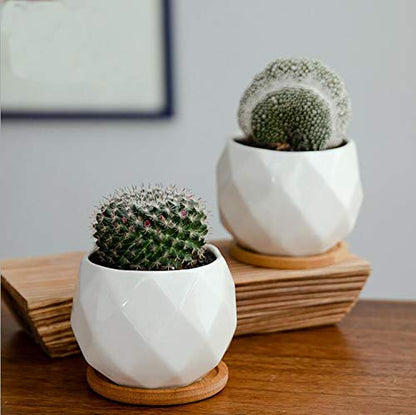 Jucoan 6 Pack Ceramic Succulent Planter Pot with Bamboo Tray, 4 Inch Small White Diamond Shaped Cactus Herb Flowers Planter with Drainage Hole for Indoor Home Office Decor
