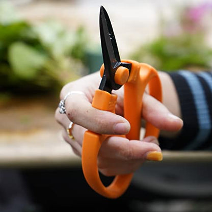 Flower Scissors With Black Carbon Steel Blades 7.0 Inch, Ornithogalum (Orange) - style: 7.0 Inch Orange