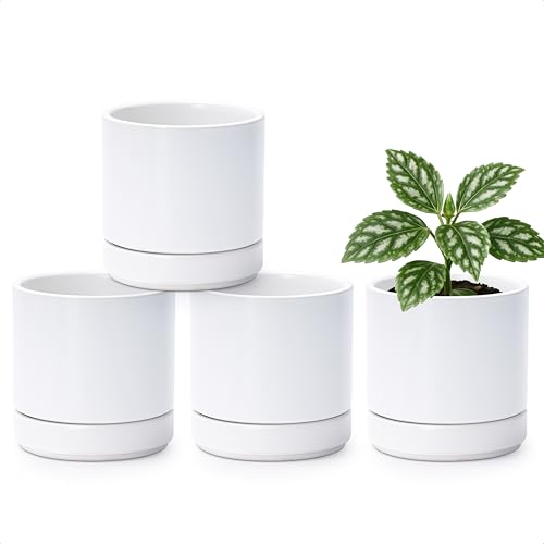 D'vine Dev 4-Pack Ceramic Pots with Saucers, White, 4.7 in, 94-X-B-1 - color: White, size: 4.7 Inch