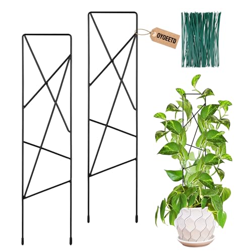 17.5 inch Small Trellis for Potted Plants, Metal Plant Trellis Indoor - color: Star-Metal