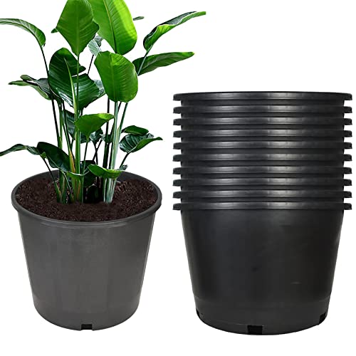 Garden Plastic Planter Nursery Pots - 10 Pcs 2 Gallon Round Black Nursery Pots for Indoor and Outdoor Plants with Drainage Hole