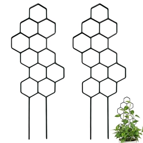 Pothos Plant Climber Support, Indoor Plant Trellis for Potted Plants, Modern Honeycomb Design for Vines Flowers Vegetables, Small Trellis for Potted Plants, Set of Two 14 Inch Plant Climbers