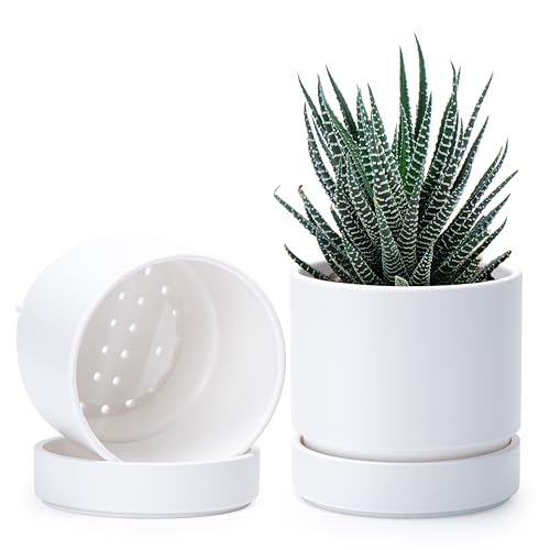 Phoenix Vine 4 Inch Planter Pot with Drainage Hole & Saucer, Deep Water Catch Tray, Straight Cylindrical Round Pot for Plants, Matte White, Pack of 2, 23-B-R-2 - color: Matte White, size: 4" (2 Pack)
