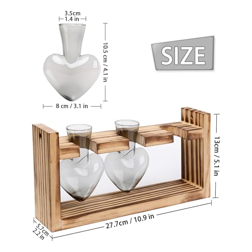Plant Terrarium Propagation Stations Hydroponics - color: Gray
