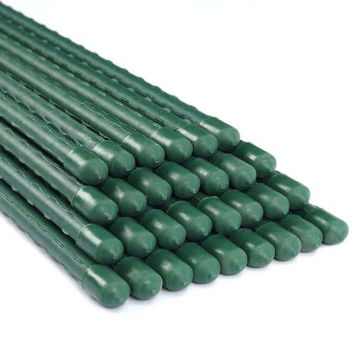 25 Pack 36 Inch Plant Stakes for Peppers,Beans & Tomatoes - size: 36 Inches