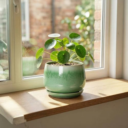 6 Inch Planter, Ceramic Plant Pots for Indoor Plants, Green - size: 6 Inch, style: Green
