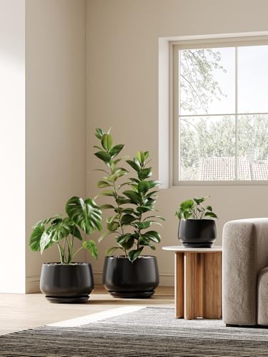 LE TAUCI Ceramic Planter, 10 Inch, Large Plant Pot, Indoor Plant Pot, Black - color: Black, size: 10"