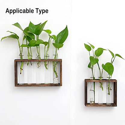 Kingbuy 3 Pack Glass Test Tube Propagation Vase Hydroponic Cuttings Planter - size: 3 Pack