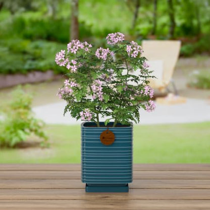 5.1 Inch Green Ceramic Planter with Drainage and Saucer - color: Peacock Green, size: Small