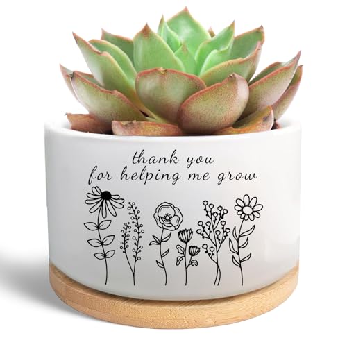 Thank You Gifts for Teacher, Succulent Plant Pot (Plants Not Included) - style: Thanks for helping me grow