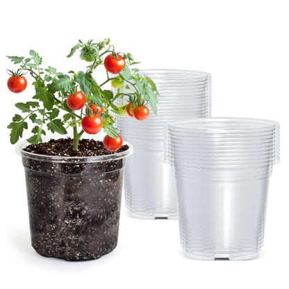 Bluepro Clear Nursery Pots with Drainage Holes, 5 Inch, 30-Pack - size: 5 Inch-30Pcs