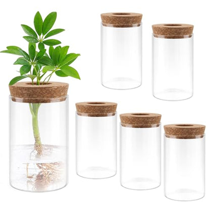 PINGEUI 6 PCS Glass Planter Vase, Plant Propagation Terrarium with Cork Lid, Plant Propagation Jars for Succulents, Herbs