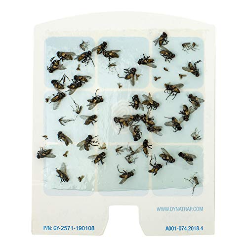 DynaTrap 23005-0612 DOT StickyTech Replacement Indoor Flying Insect Trap Glue Cards - 6 Pack