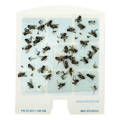 DynaTrap 23005-0612 DOT StickyTech Replacement Indoor Flying Insect Trap Glue Cards - 6 Pack