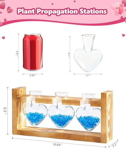Nacome Plant Terrarium with Wooden Stand, 3 Heart Bulb Glass Vases - color: Transparent