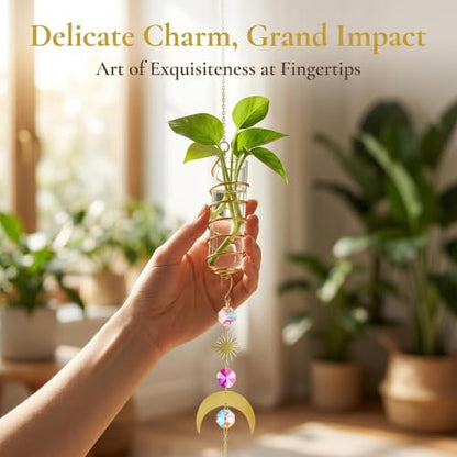 6pcs Plant Propagation Station Hanging Suncatcher with Chain Pendant