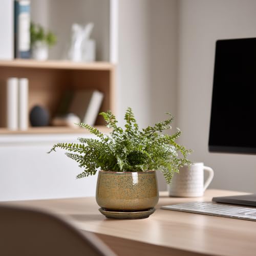 G EPGardening Ceramic Pots for Plants, 4 Inch, Speckled Brown - color: Speckled Brown, size: 4 Inch