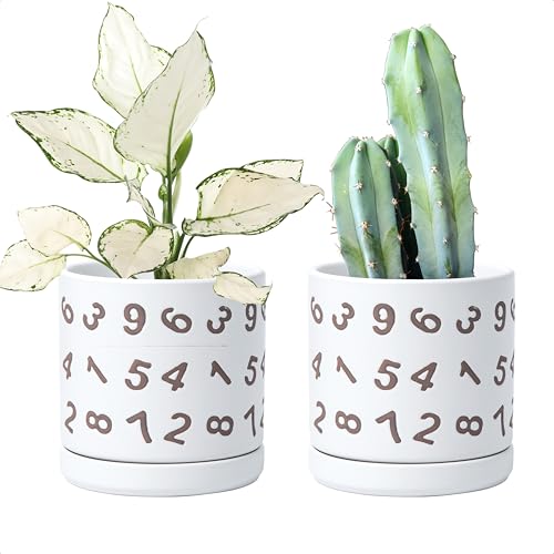 D'vine Dev Set of 2 Ceramic Planter Pots with Drainage Hole and Saucer, 6 Inch Plant Pots for Plants Indoor Houseplants, White, 99-Z-B-1-Y - size: 6", style: Numbers White
