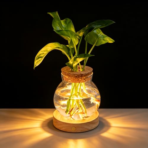 Plant Propagation Station with Light,Everkeen Valentines Day Glass Terrarium with Stepless Dimming Function Hydroponic Glass Container Vase Jars Gardening Gifts for Mom Women Plant Lovers - color: Clear 1 Pack