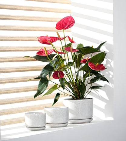 Ceramic Planters,Plant Pots with Saucers Set of 3(Reactive Glaze White) - color: Speck
