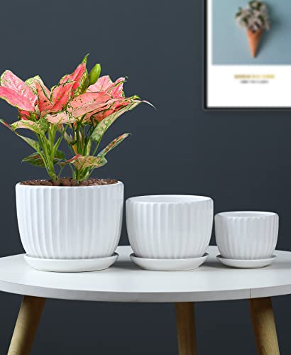 White Plant Pots,Ceramic Flower Pot Set of 3 with Drainage Holes & Saucers - color: White
