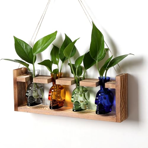 Plant Propagation Stations Halloween Skull Plant Terrarium Kit - color: Color011