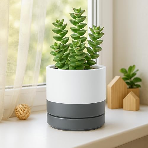 D'vine Dev 2-Pack Ceramic Pots & Saucers, White/Grey, 3.5/4.7 in, 94-G-XS-6 - color: White/Speckled Grey, size: X-Small