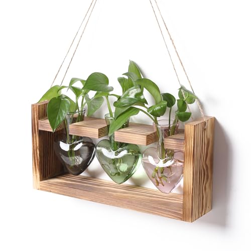 Plant Terrarium Propagation Stations Hydroponics - color: Color 2