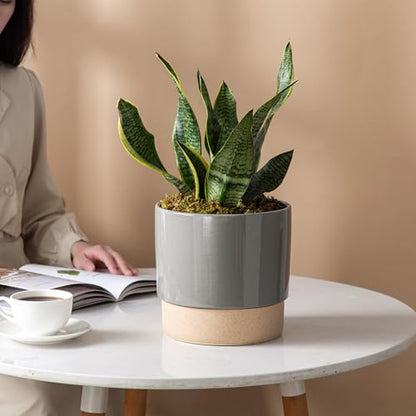 8 Inch Ceramic Self Watering Planter with Drainage Hole, Dark Grey - color: Darkgrey, size: Medium