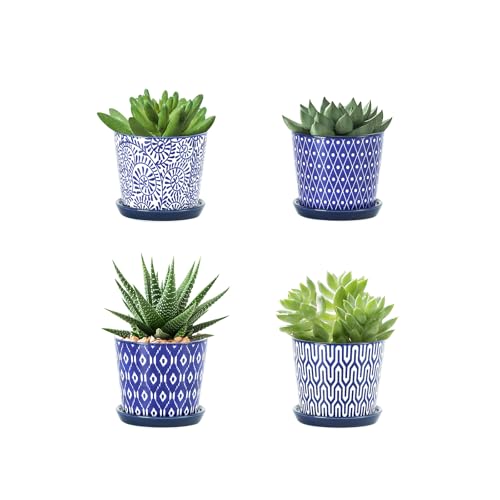 Selamica Ceramic Succulent Pots, 3.4 Inch Small Pots for Plants with Drainage Holes and Saucers, Succulent Planters for Indoor Plants, Cactus, Home Decor, Set of 4, Vintage Blue - color: Vintage Blue, size: 3.4 Inch, Set of 4