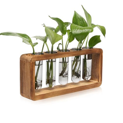 Glass Plant Propagation Station with 5 Test Tubes Colorful Planter Vase - color: Gray