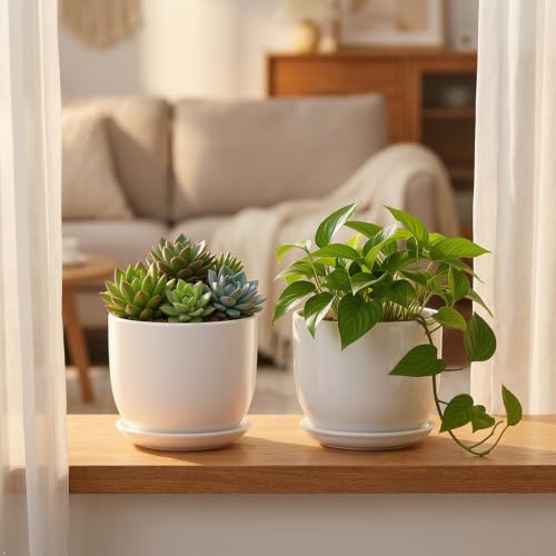 Ceramic Plant Pots, White, 6.7 Inch, 2 Pack - size: 6.7 Inch 2 Pcs